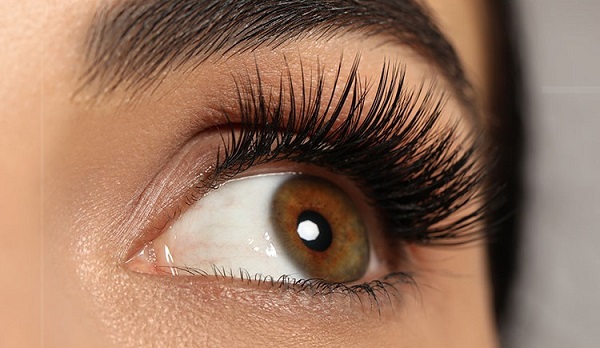 Lash Supplier Australia